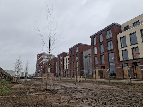 Eerste bomen in het Wervenpark in Stadswerven Dordrecht